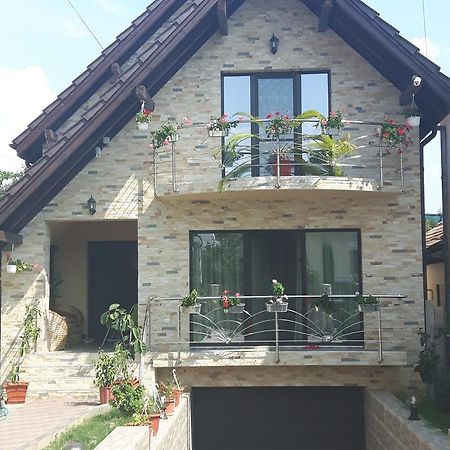 Vila Alexia Calimanesti Exterior foto