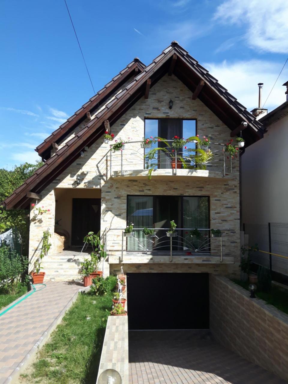 Vila Alexia Calimanesti Exterior foto