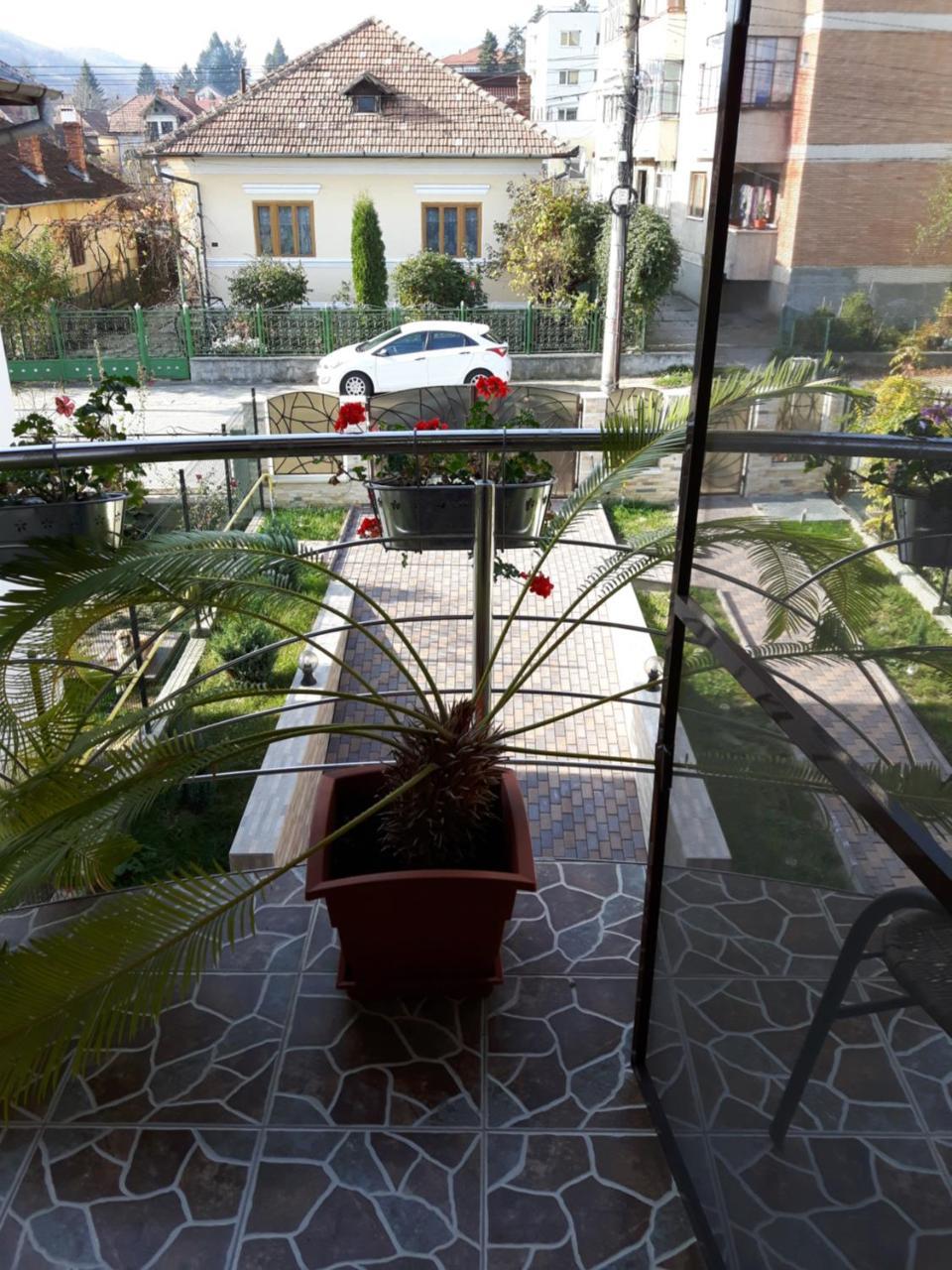 Vila Alexia Calimanesti Exterior foto
