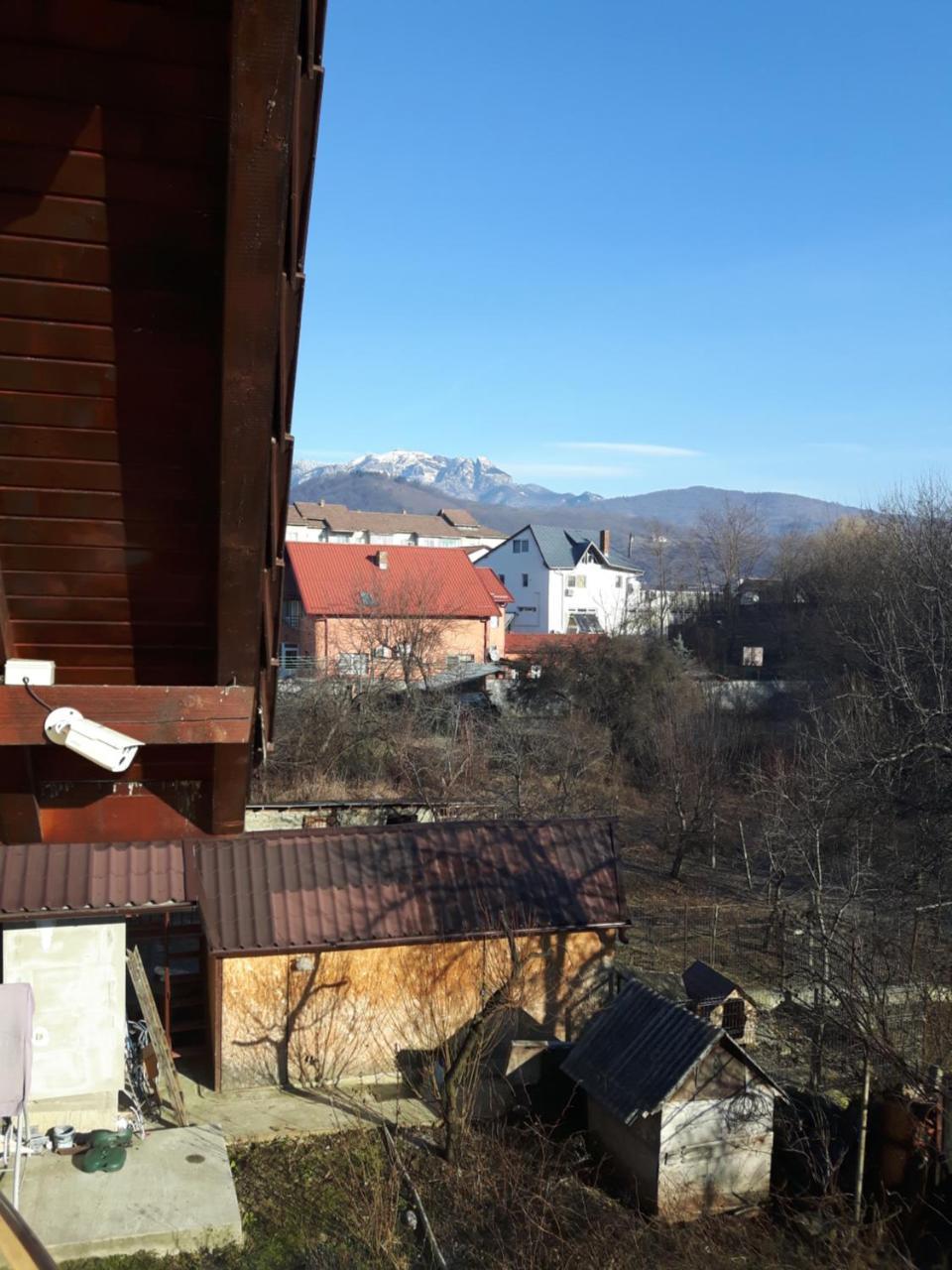 Vila Alexia Calimanesti Exterior foto